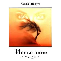 Обложка книги «Испытание стихи, поэмы»