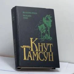 Обложка книги «Последняя отрада. Последняя глава»