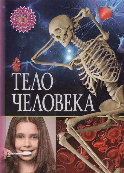 Обложка книги «Тело человека»