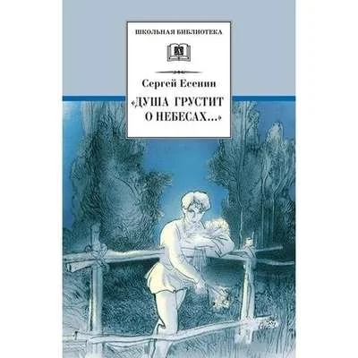 Обложка книги «Душа грустит о небесах»