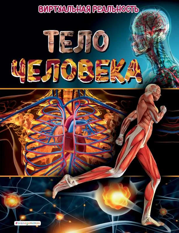 Обложка книги «Тело человека. Виртуальная реальность»
