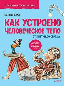 Обложка книги «Как устроено Человеческое тело. От клетки до сердца»