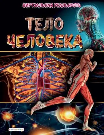 Обложка книги «Тело человека»