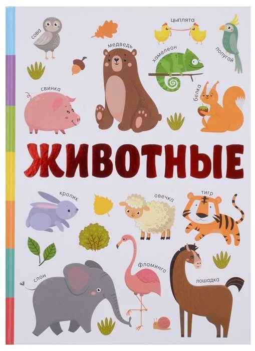 Обложка книги «Животные»