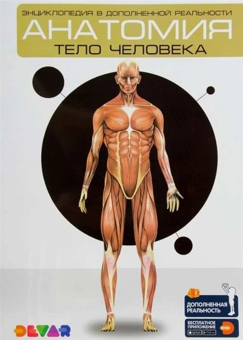 Обложка книги «Анатомия. Тело человека. Энциклоп. в дополн. реальности»