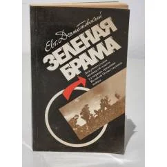 Обложка книги «Зеленая брама»