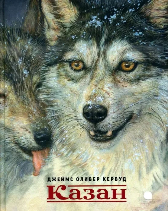 Обложка книги «Казан»