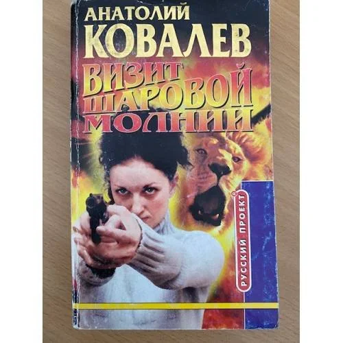 Обложка книги «Визит шаровой молнии»