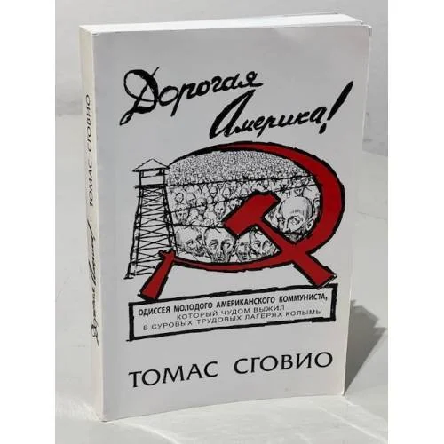 Обложка книги «Дорогая Америка»