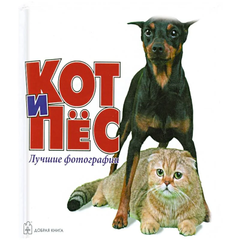Обложка книги «Кот и Пес»