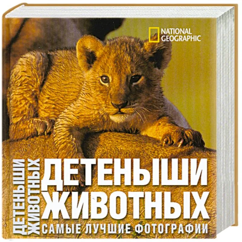 Обложка книги «Детеныши животных. Самые лучшие фотографии»