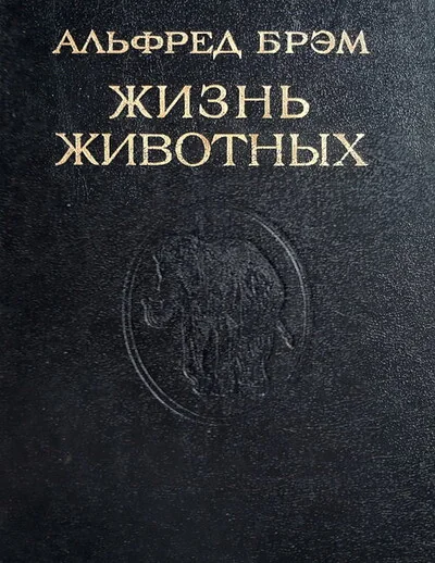 Обложка книги «Жизнь животных. Том 1 (репринт)»