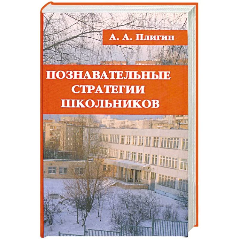 Обложка книги «Познавательные стратегии школьников»