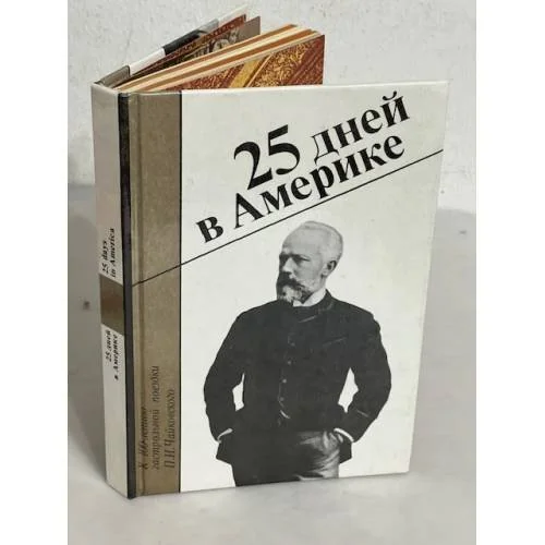 Обложка книги «25 дней в Америке»