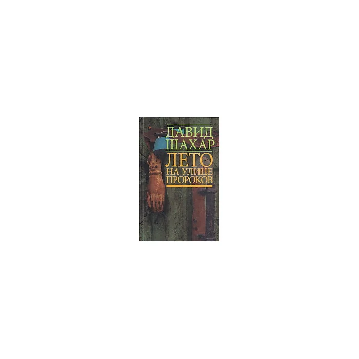Обложка книги «Лето на улице пророков»