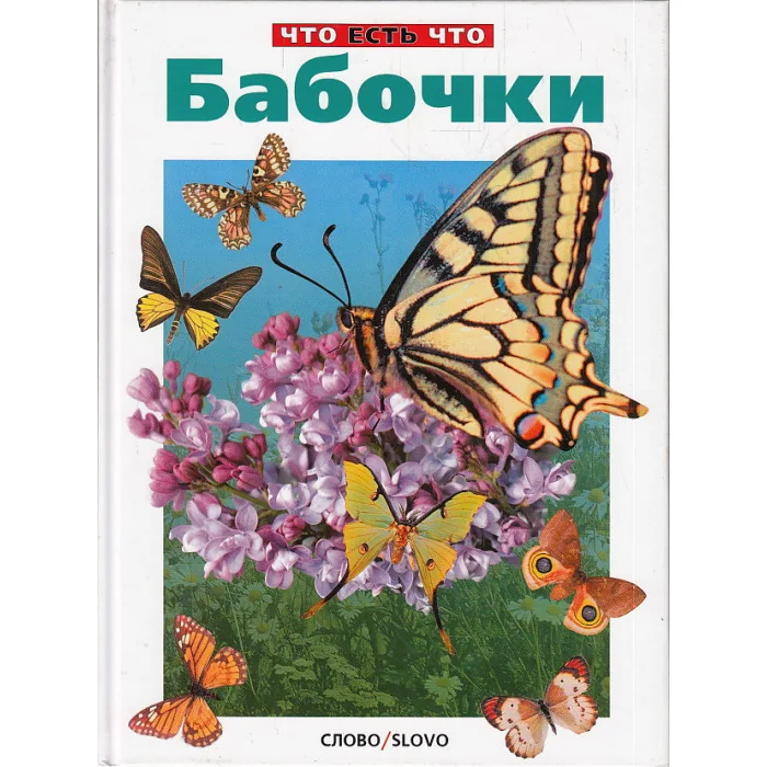 Обложка книги «Бабочки»