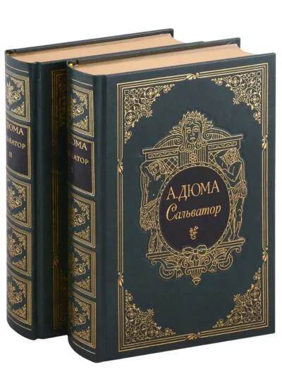 Обложка книги «Сальватор. В 2 томах»
