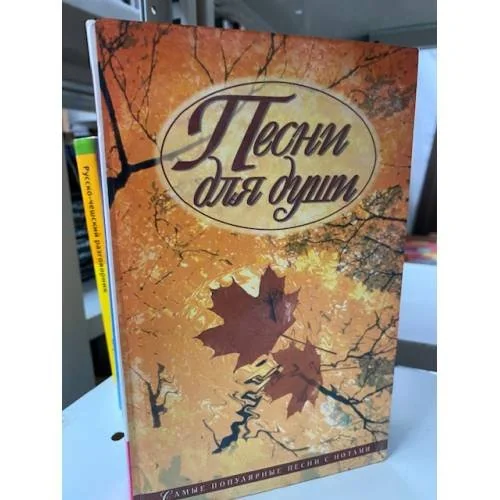 Обложка книги «Песни для души»