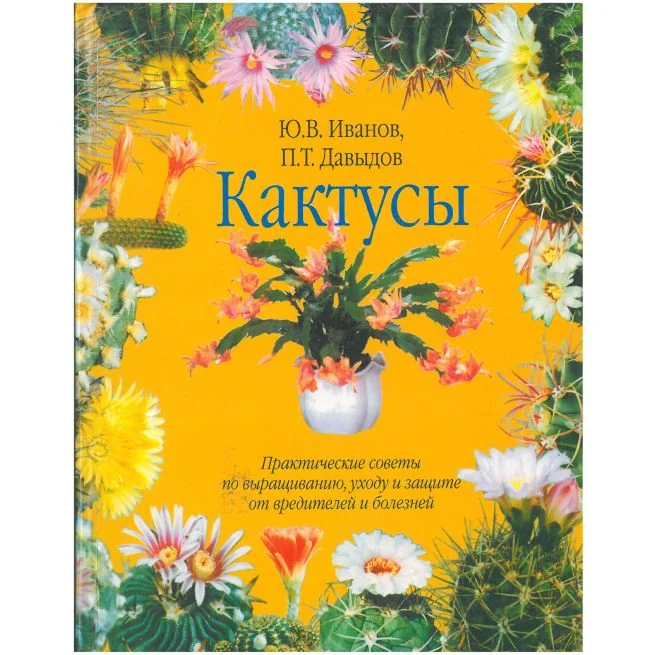 Обложка книги «Кактусы. Иванов Юрий, Давыдов Павел»