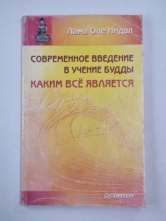 Обложка книги «Современное введение в учение Будды. Каким всё является»