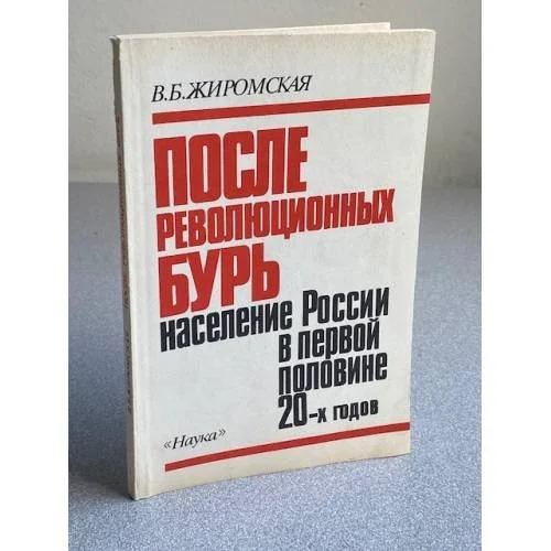 Обложка книги «После революционных бурь: население России в первой половине 20-х годов»