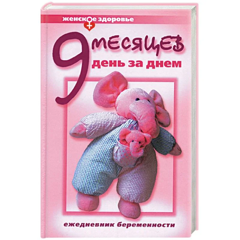 Обложка книги «Девять месяцев день за днем»