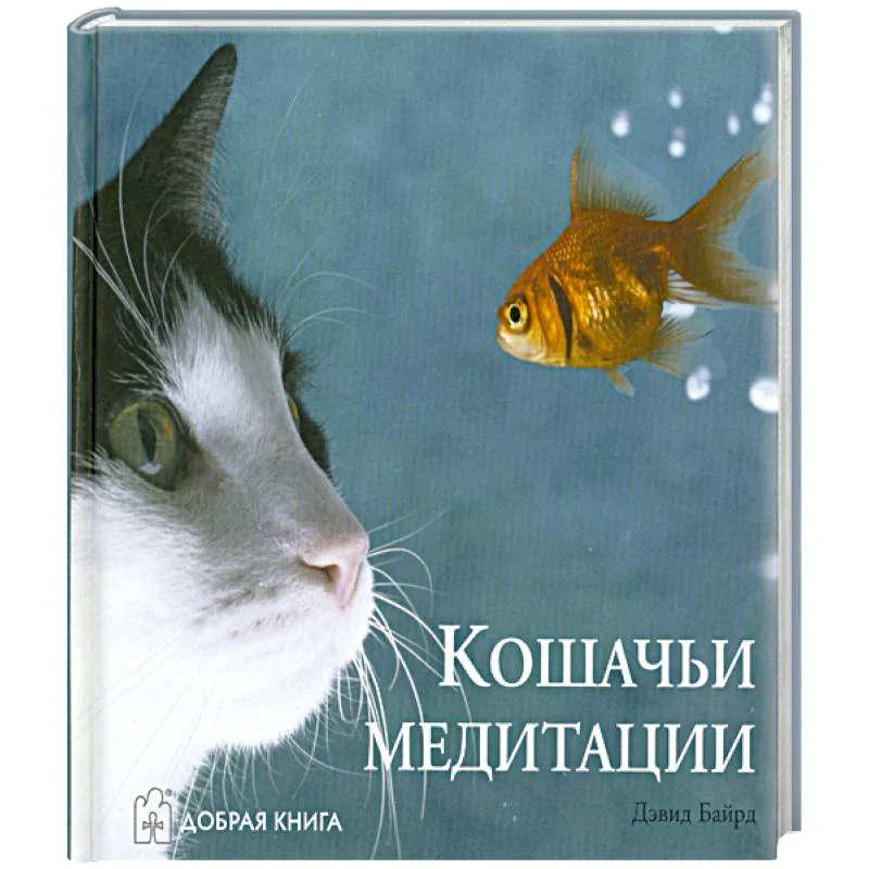 Обложка книги «Кошачьи медитации»