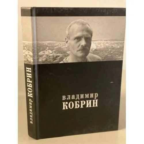 Обложка книги «Владимир Кобрин»