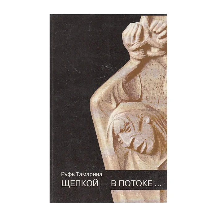 Обложка книги «Щепкой - в потоке...»