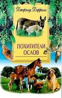 Обложка книги «Похитители ослов»