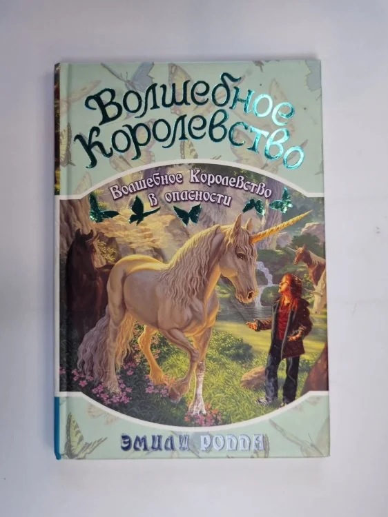 Обложка книги «Волшебное королевство. Книга 6»