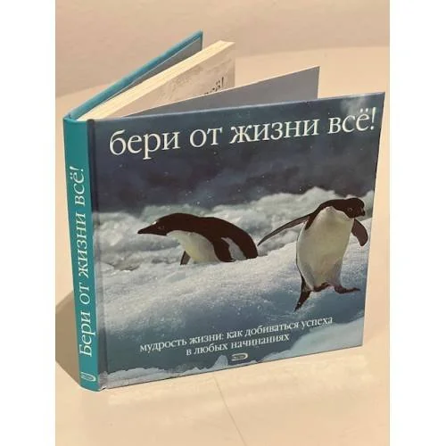 Обложка книги «Бери от жизни всё! Мудрость жизни: Как добиваться успеха в любых начинаниях (L)»