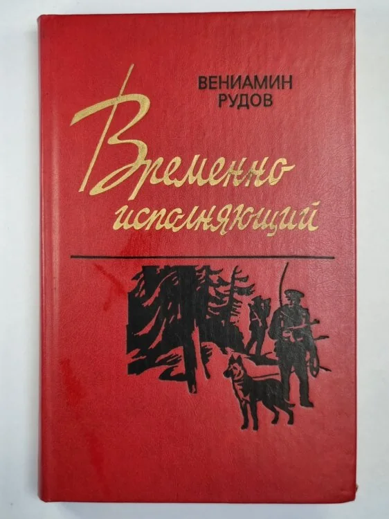 Обложка книги «Временно испоняющий»