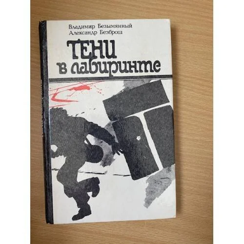 Обложка книги «Тени в лабиринте»