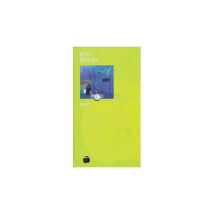 Обложка книги «Мост»