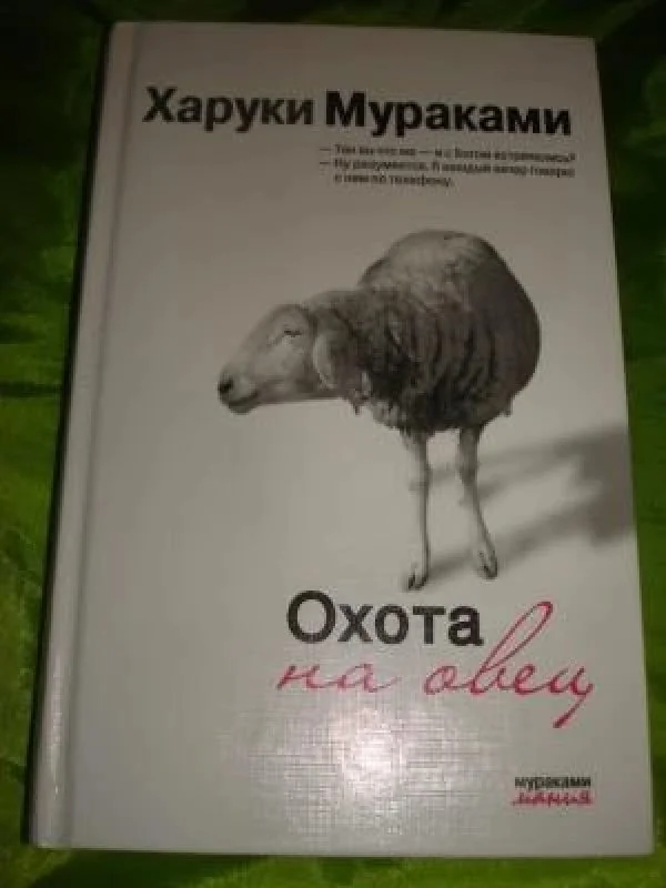 Обложка книги «Охота на овец»