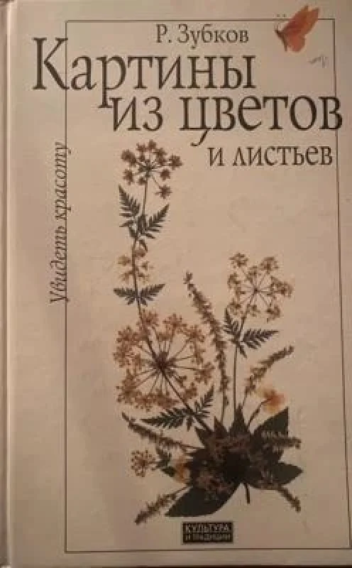 Обложка книги «Увидеть красоту»