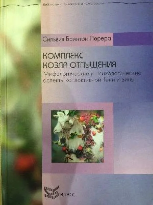 Обложка книги «Комплекс козла отпусщения»