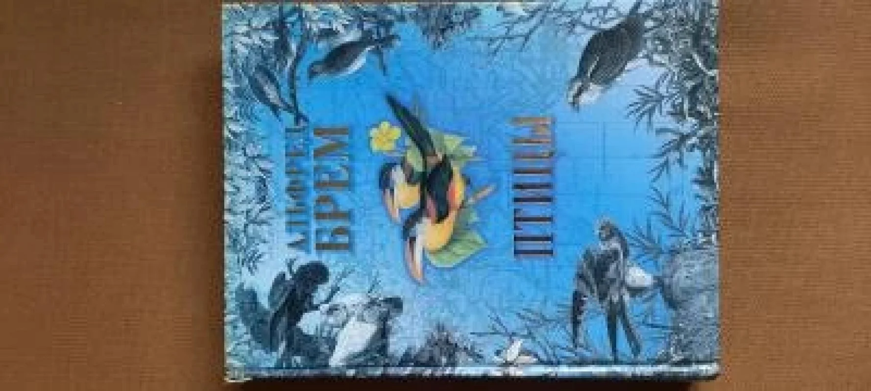 Обложка книги «Птицы. Том 2»