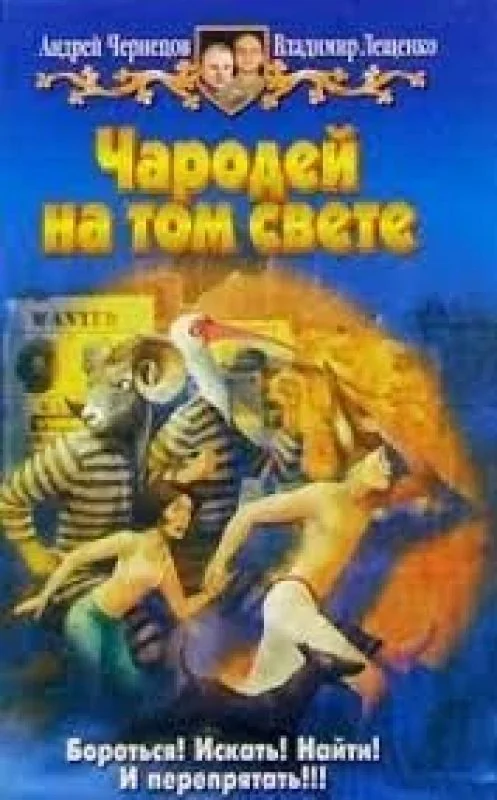 Обложка книги «Чародей на том свете»