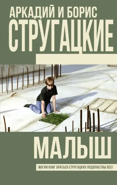 Обложка книги «Малыш»