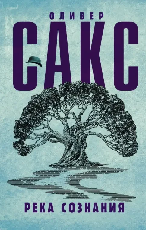 Обложка книги «Река сознания»