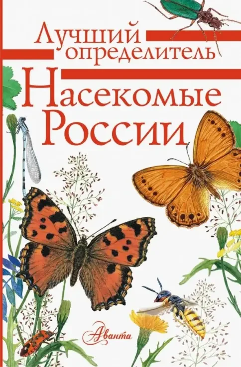 Обложка книги «Насекомые России : определитель : для среднего школьного возраста»