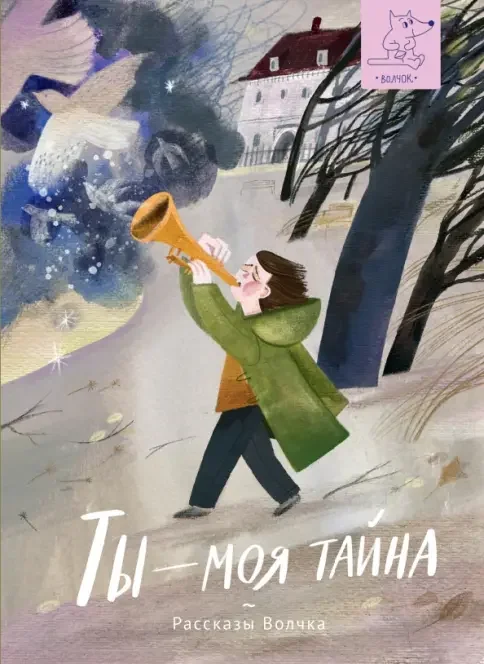 Обложка книги «Ты - моя тайна»