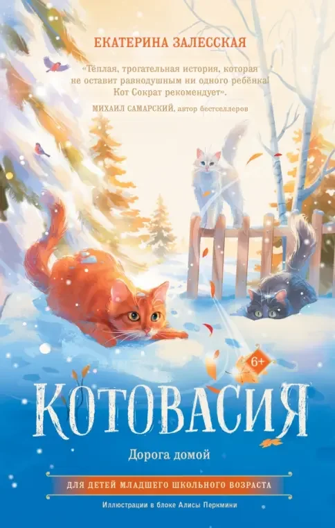 Обложка книги «Котовасия. Дорога домой»