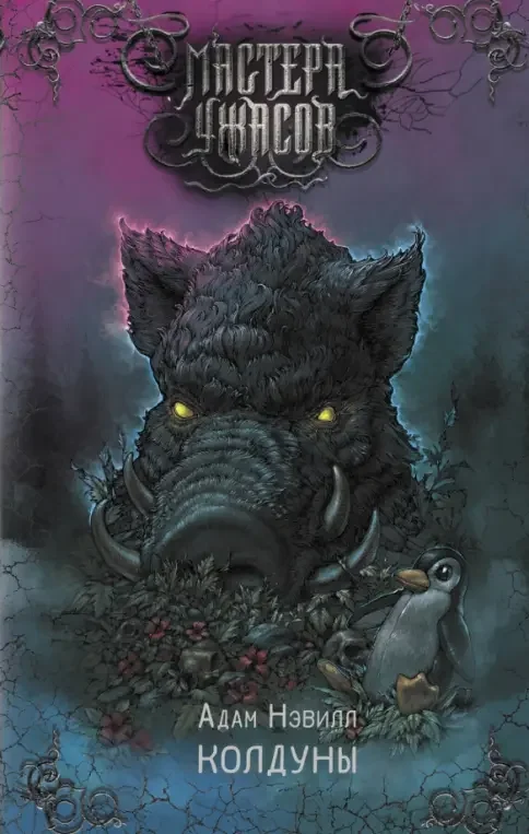 Обложка книги «Колдуны»