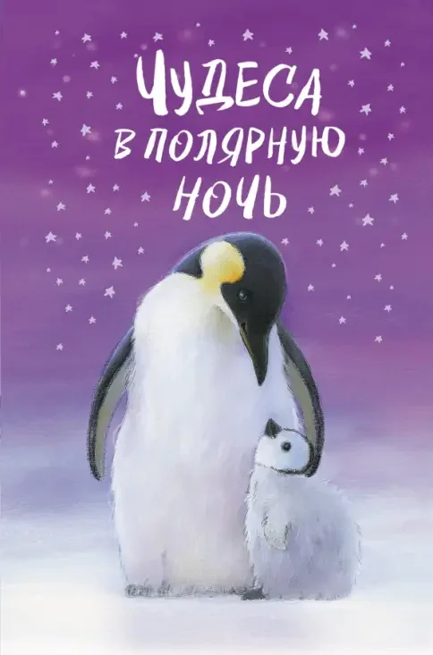 Обложка книги «Чудеса в полярную ночь»