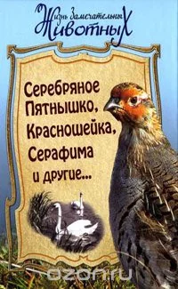 Обложка книги «Серебряное Пятнышко, Красношейка, Серафима и другие... : сборник : для среднего школьного возраста»