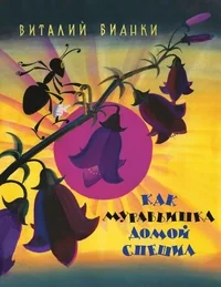 Обложка книги «Как муравьишка домой спешил»