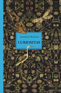 Обложка книги «Curiositas. Любопытство»
